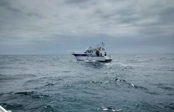 Motorboat RODMAN 1100 474hp