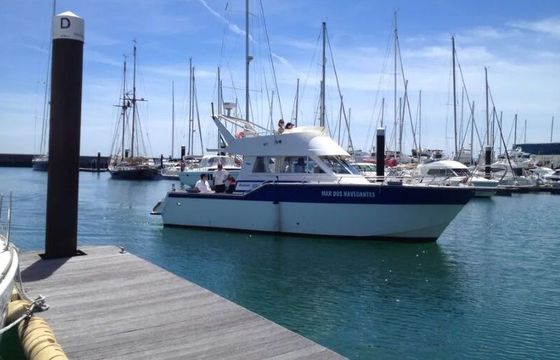 Motorboat RODMAN 1100 474hp