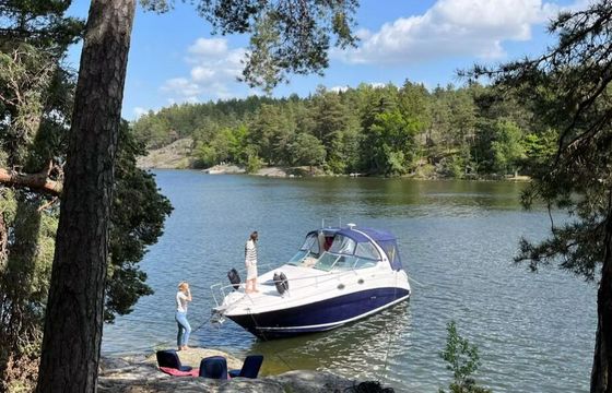 Motorboat Sea Ray 280 Sundancer 440hp