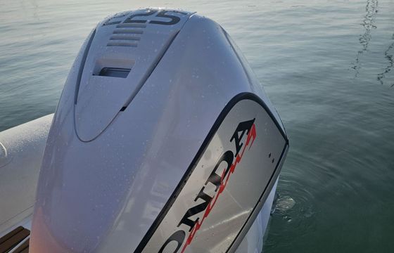 RIB Tiger Marine 750 225hp