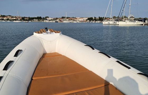 RIB Tiger Marine 750 225hp