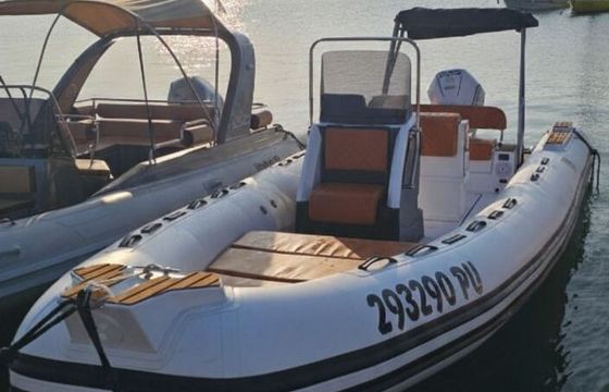 RIB Tiger Marine 750 225hp