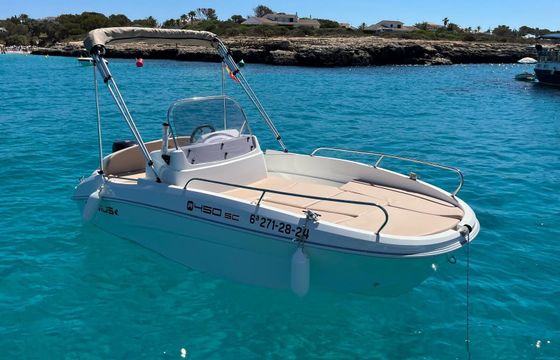 Motorboat Remus 450 40cv Requiere Licencia 40hp