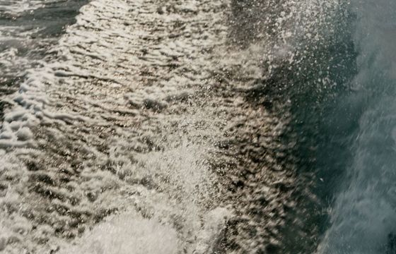 Motorboat Mochi Craft CALIARI 50 1150hp