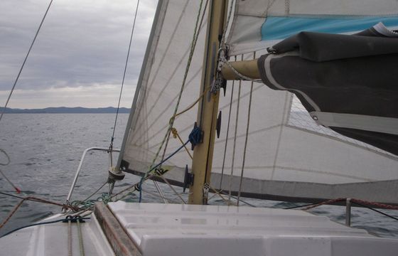 Sailboat Edel 2 5.6m