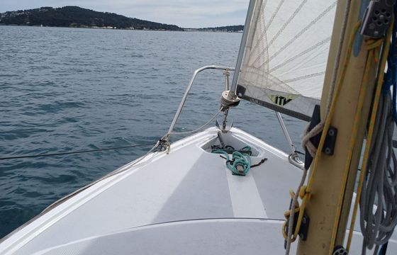 Sailboat Edel 2 5.6m
