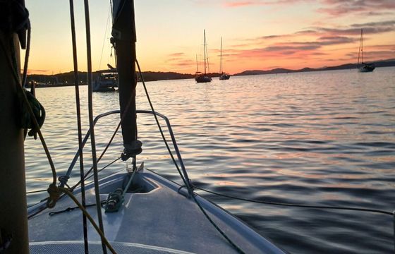 Sailboat Edel 2 5.6m