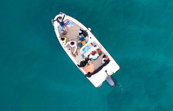 Boat without licence  Quicksilver Activ 555 Open 30hp