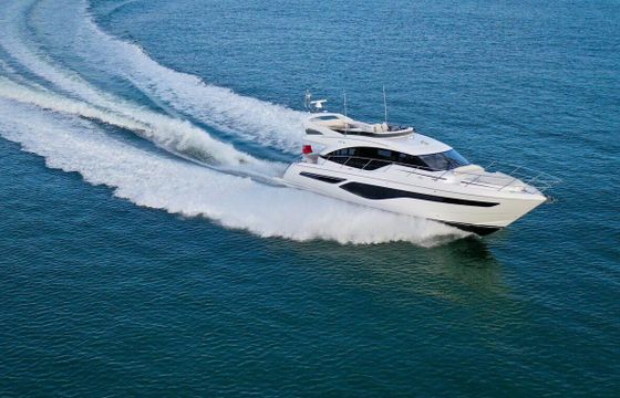 Motor yacht Princess 55 F 1600hp