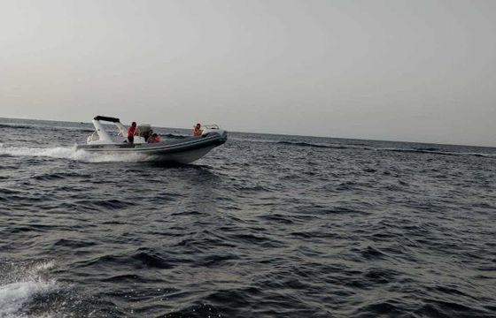 RIB SACS Sacs 680 200hp