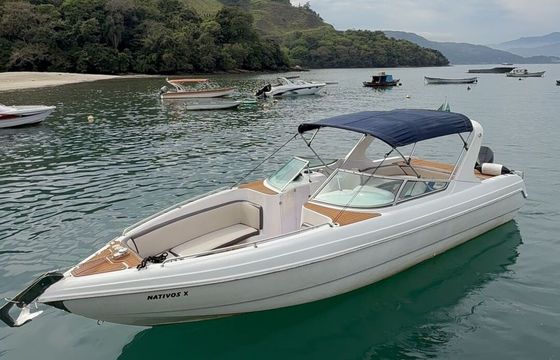 Motorboat Futura Futura tecnoboat 300hp