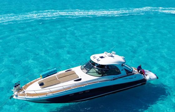 Motorboat Sea Ray SUNDANCER 1200hp