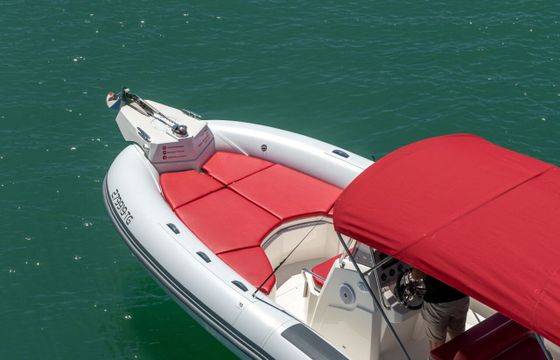 RIB Marlin 790 250hp