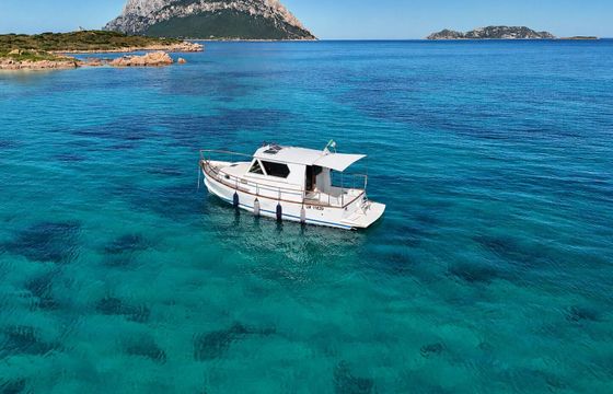 Motorboat Farabegoli 10 500hp