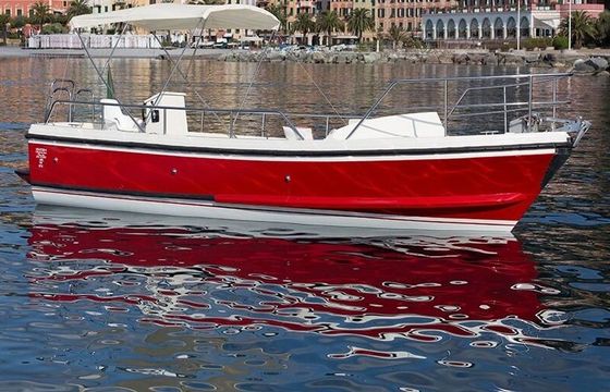 Motorboat NELSON 24 Olivetta 110hp