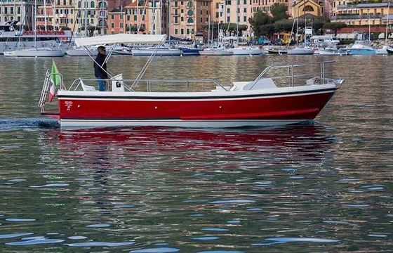 Motorboat NELSON 24 Olivetta 110hp
