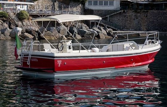 Motorboat NELSON 24 Olivetta 110hp