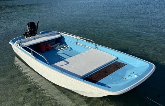 Boat without licence  Boston Whaler 13