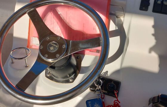 Motorboat ELAN 20 CC 150hp