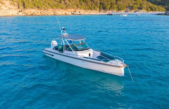 Motorboat Axopar 28 T-top 350hp