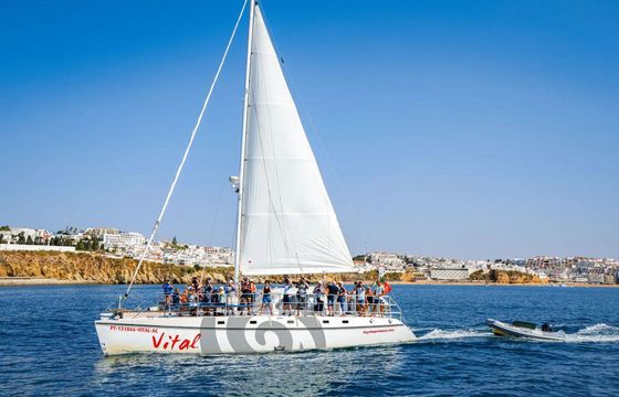 Catamaran Sailing Catamaran Custom 15m