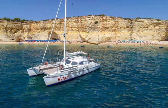 Catamaran Sailing Catamaran Custom 15m