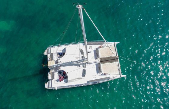 Catamaran Sailing Catamaran Custom 15m