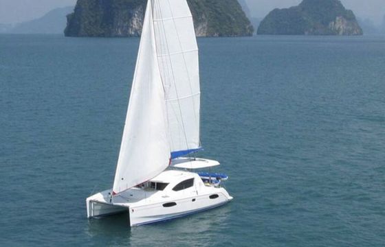 Catamaran Leopard 39 12m