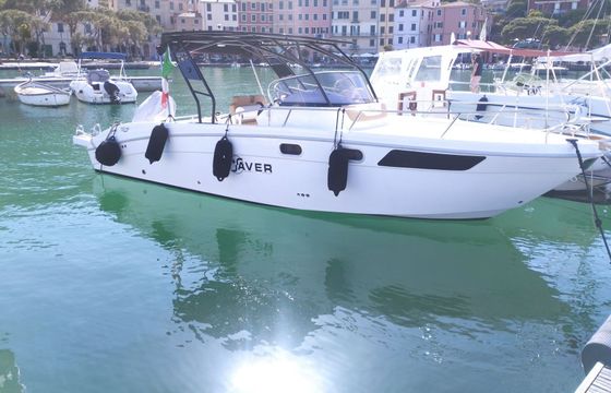 Motorboat Saver 750WA 250hp