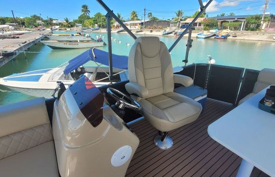 Boat without licence  SMART LINER PONTON 18 6hp