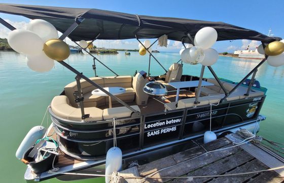 Boat without licence  SMART LINER PONTON 18 6hp