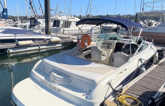 Motorboat Sea Ray Sun and Sport 220hp