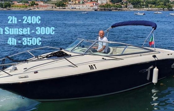 Motorboat Sea Ray Sun and Sport 220hp