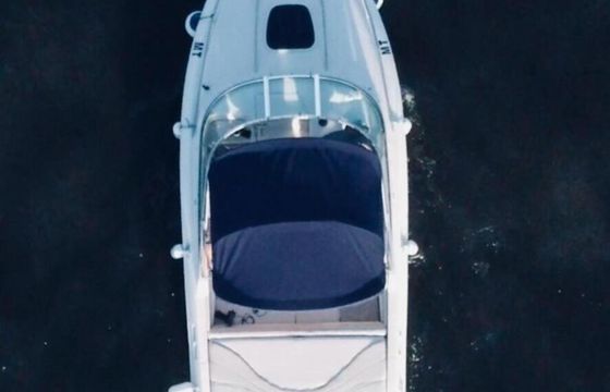 Motorboat Sea Ray Sun and Sport 220hp