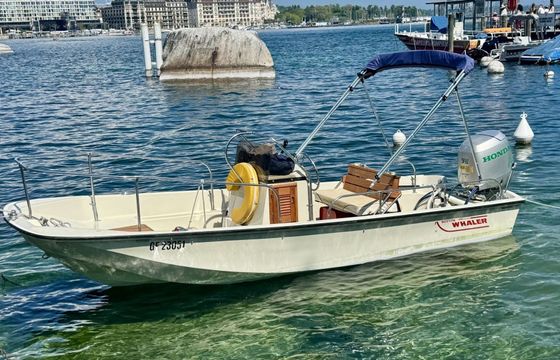 Motorboat Boston Whaler Montauk 17 75hp
