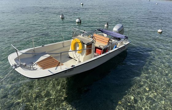 Motorboat Boston Whaler Montauk 17 75hp