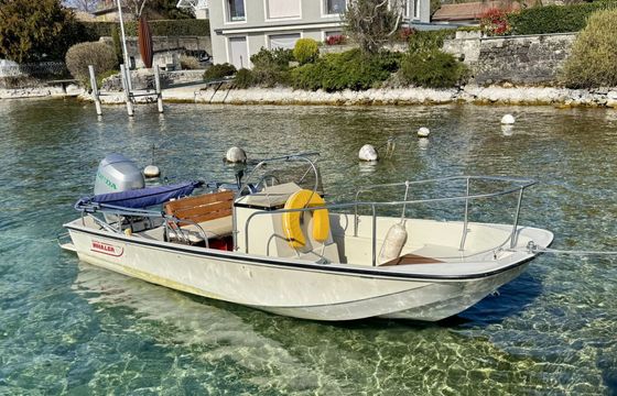 Motorboat Boston Whaler Montauk 17 75hp