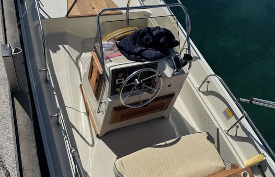 Motorboat Boston Whaler Montauk 17 75hp