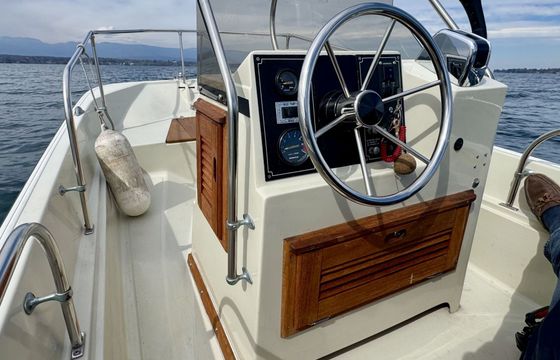 Motorboat Boston Whaler Montauk 17 75hp