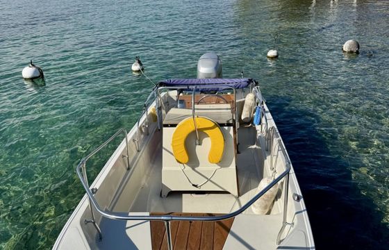 Motorboat Boston Whaler Montauk 17 75hp