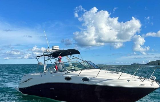 Motorboat Sea Ray 270 360hp