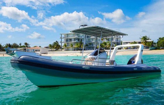 RIB RIB 760 250hp