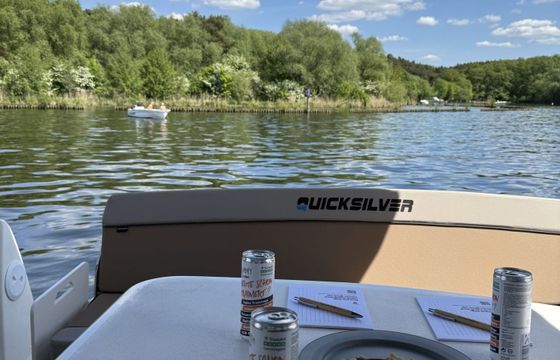 Motor yacht Quicksilver 905 Weekend 250hp