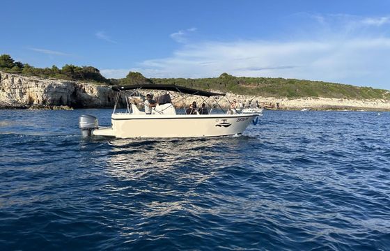 Motorboat AEDA INC Dubrovnik 800 225hp