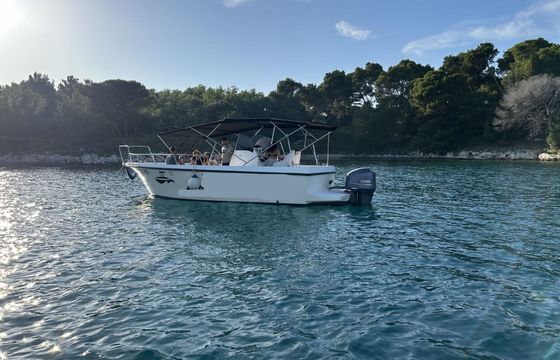 Motorboat AEDA INC Dubrovnik 800 225hp