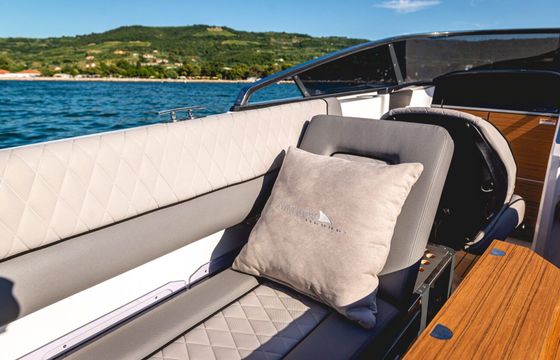 Motorboat Alfastreet 25 250hp