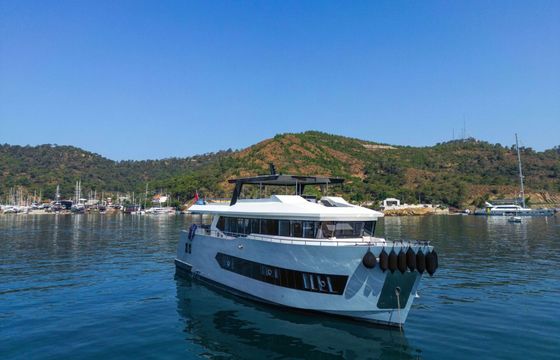 Motor yacht Alfa 2025 550hp