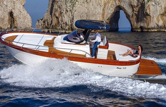 Motorboat Mimi 9.5 Elite 462hp