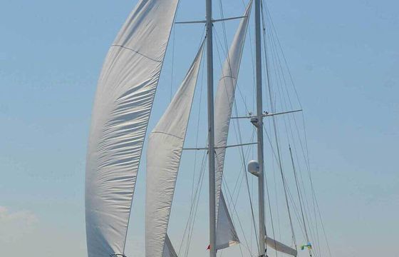 Gulet Luxury Gulet With Jakuzi Mr. Şükrü - 100 ft 30m