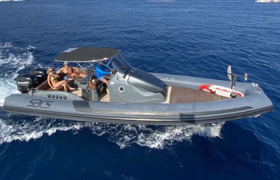 Motorboat Sacs Marine Strider 10 600hp